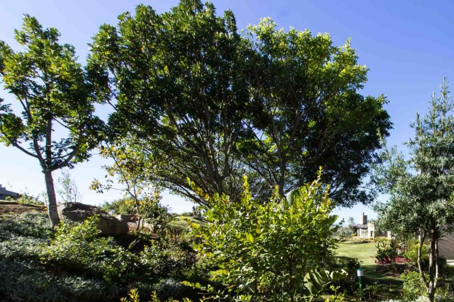 2 Bedroom Property for Sale in Oubaai Western Cape